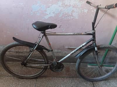 Phoenix Cycle Urgent Sale