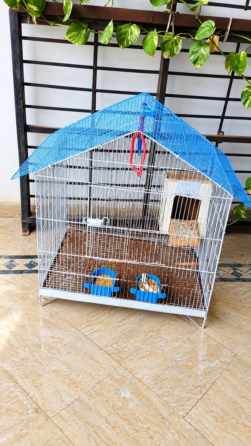 Pinjra/Beautiful Large Bird Cage with Nesting Box & Feeders – Lahore — photo 2
