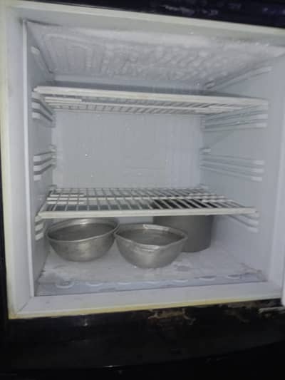 Pel fridge medium size
