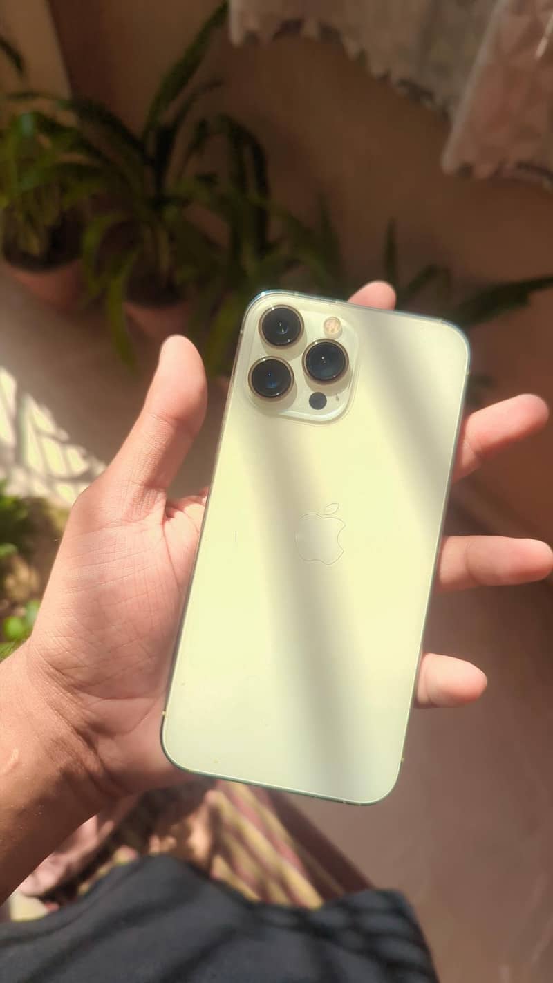 Apple iPhone 13 Pro Max 0
