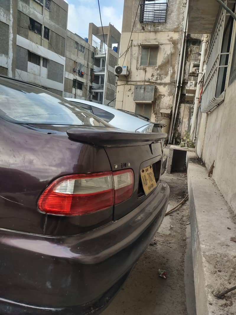 civic dolphin 1
