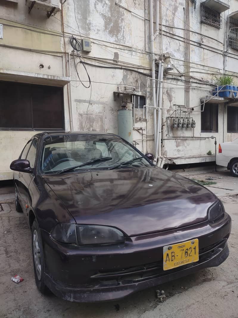 civic dolphin 2