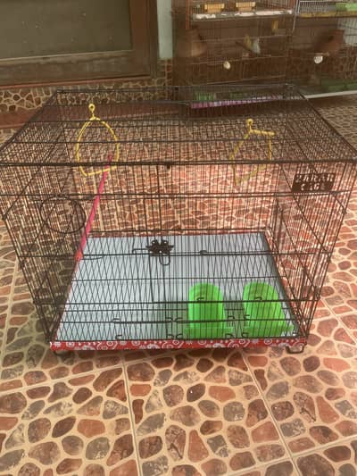 Cage for sale