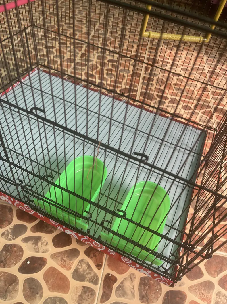 Cage for sale — photo 3