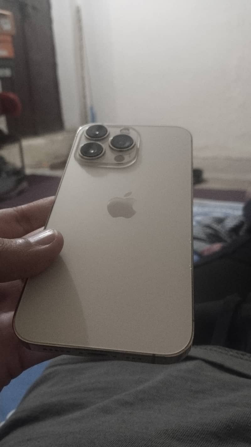 Apple iPhone 13 Pro 1