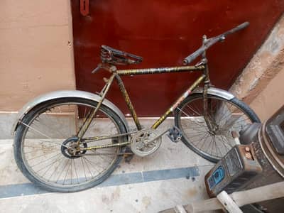 mountain cycle