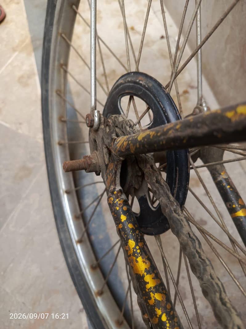 mountain cycle 2