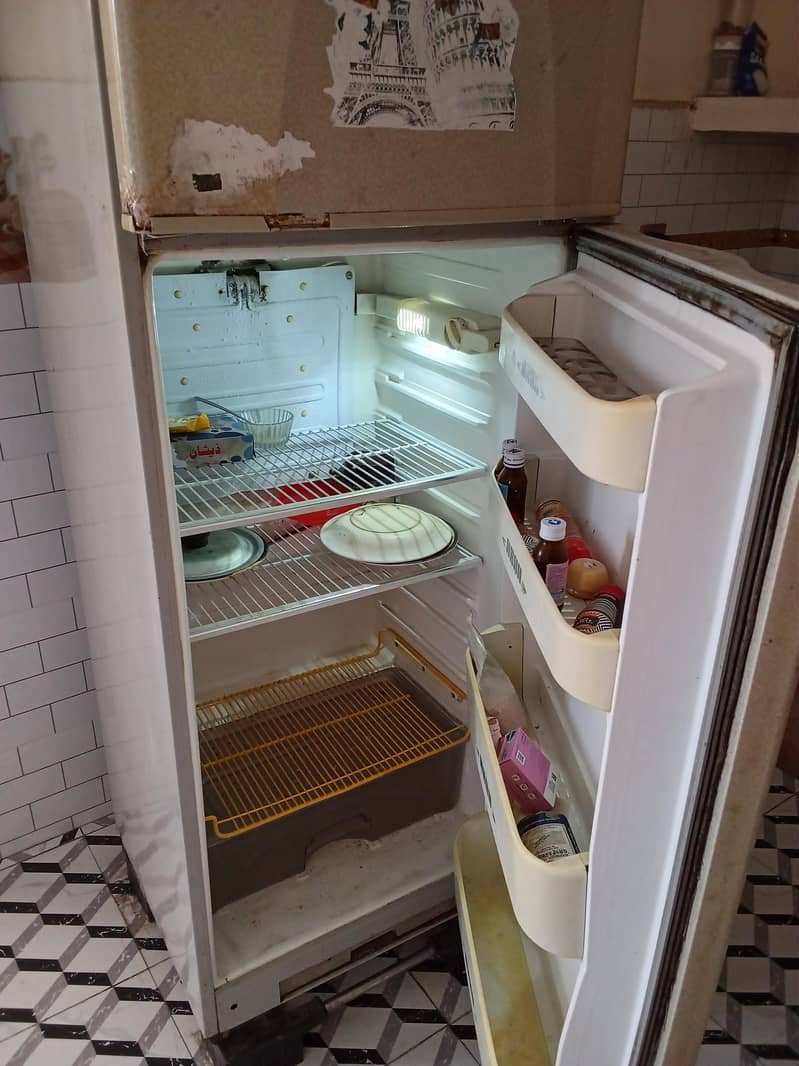 Freezer 3