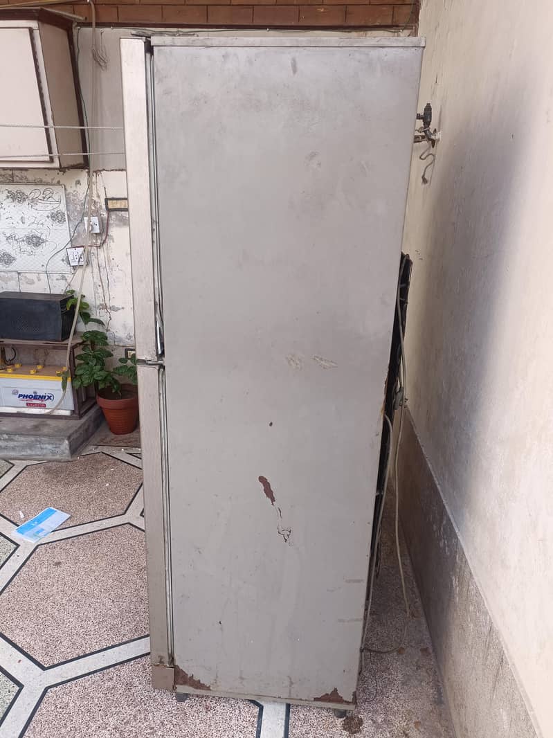 Pel large refrigerator 1