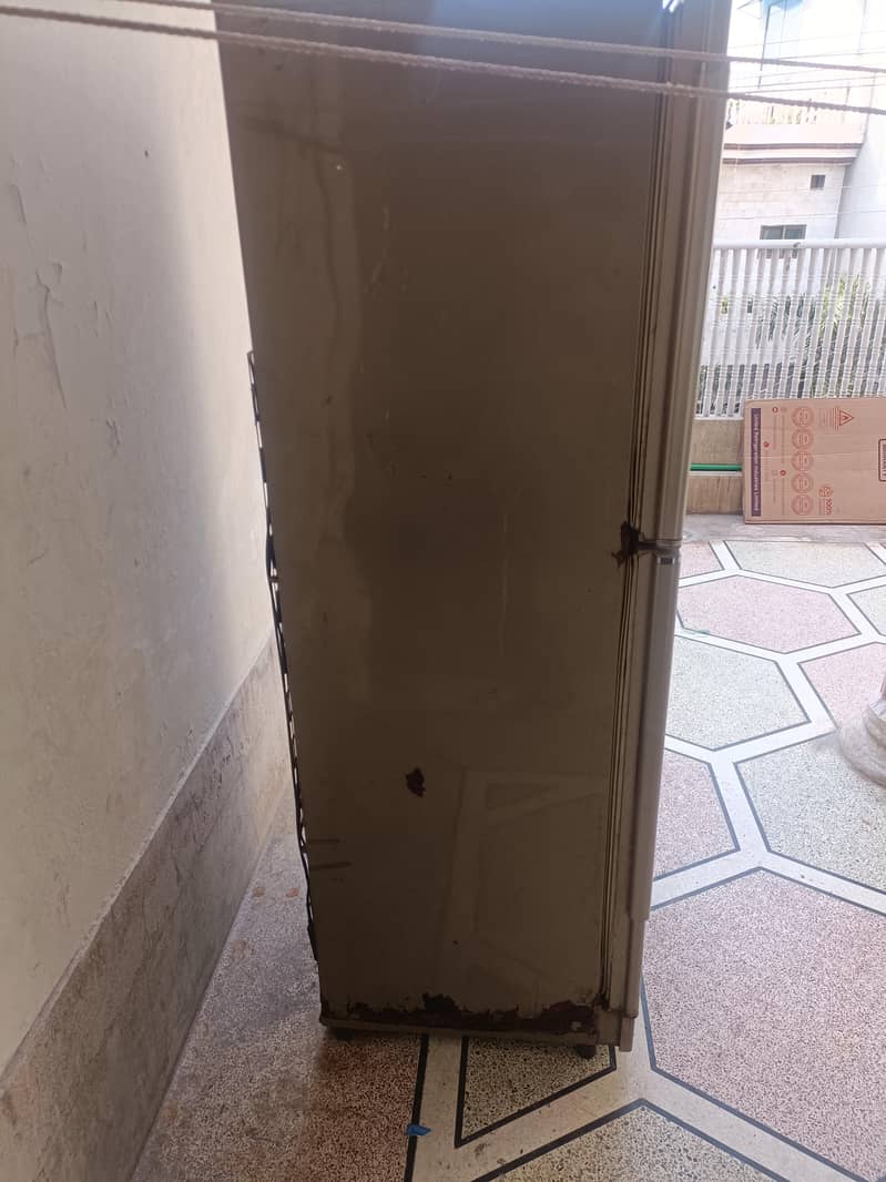 Pel large refrigerator 2