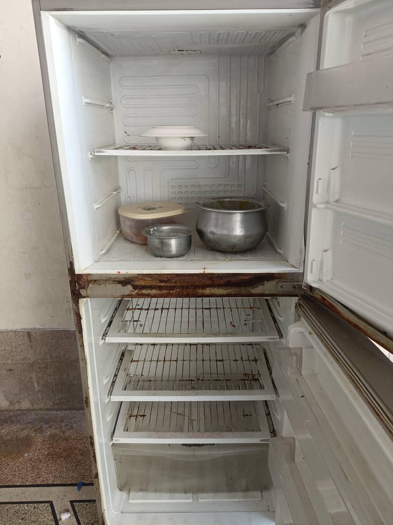 Pel large refrigerator 3