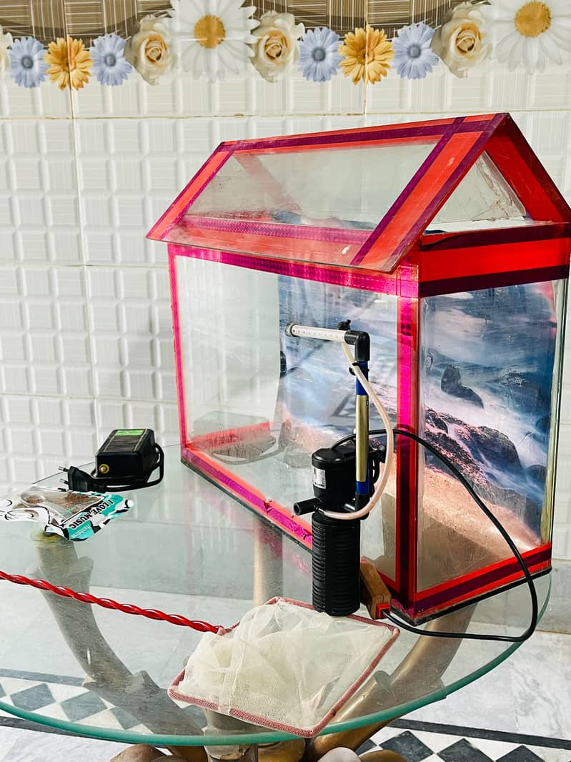 Aquarium 2