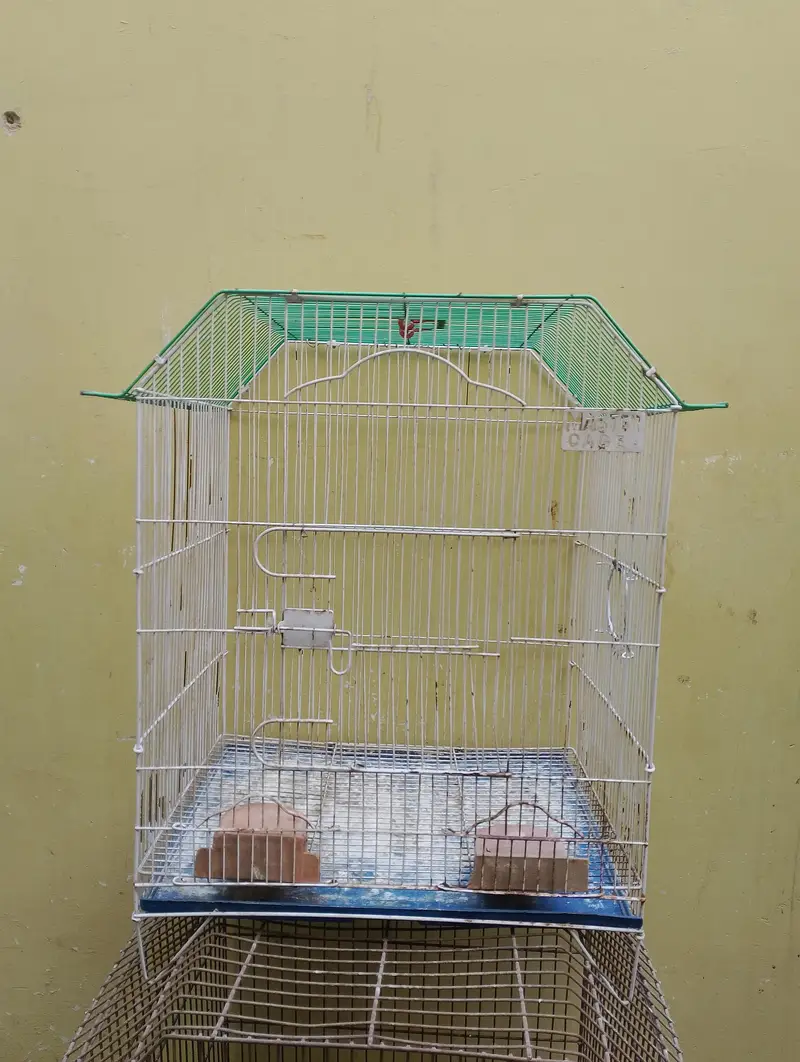 cages — photo 2