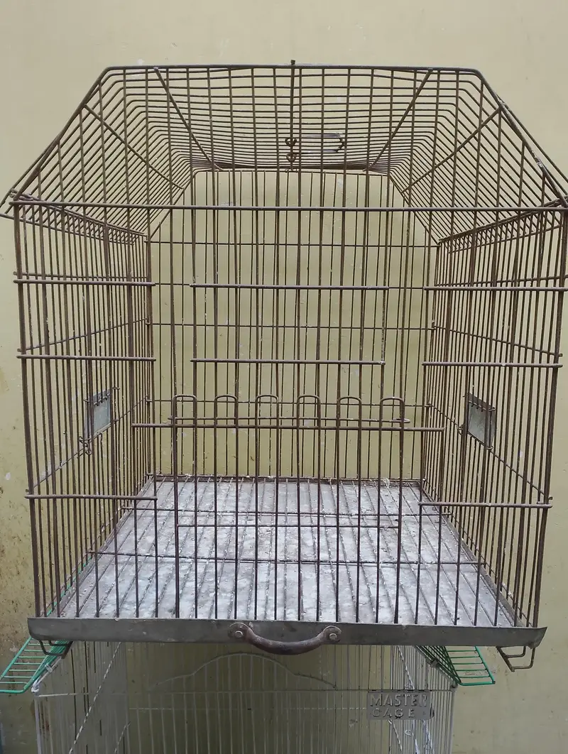 cages — photo 3