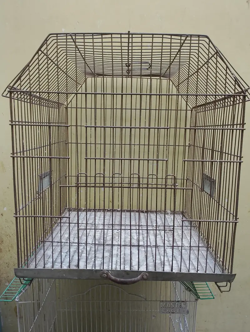 cages — photo 4