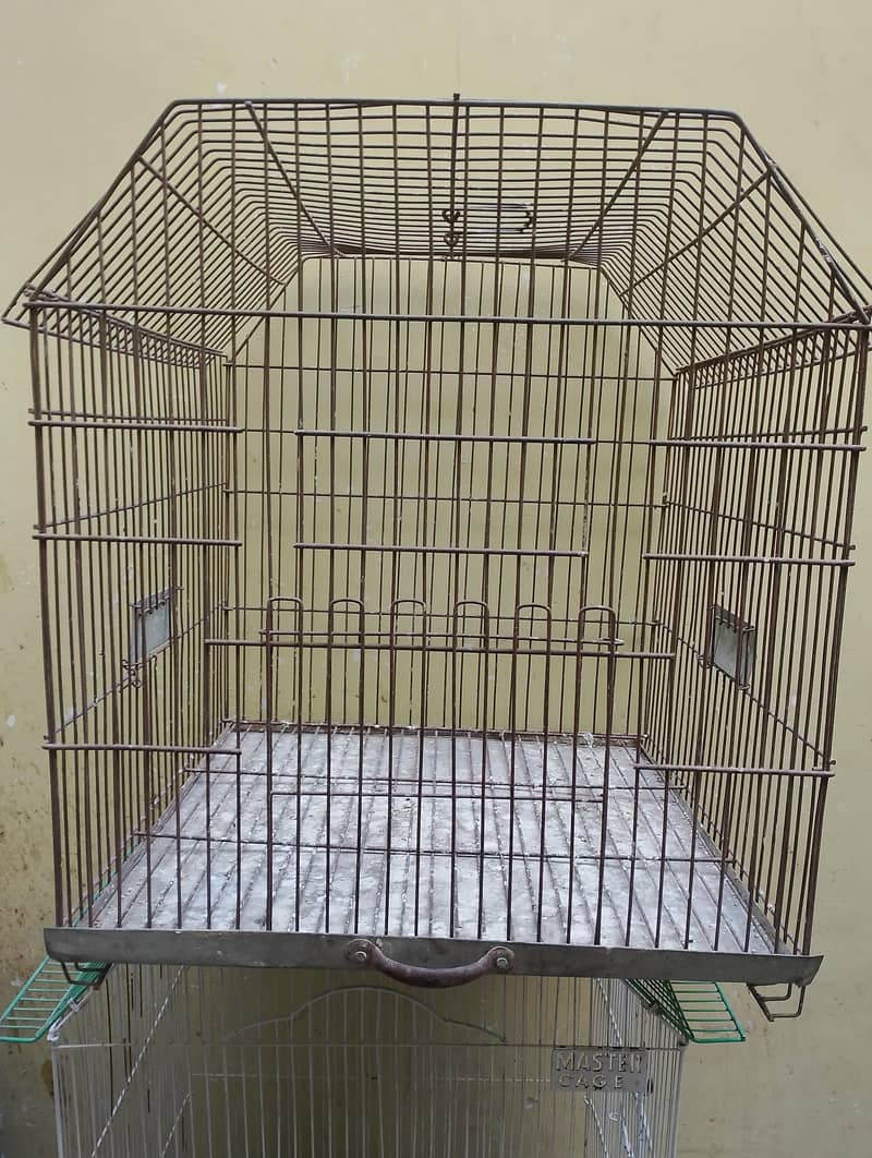 cages 4
