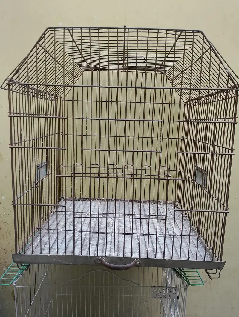 cages — photo 5