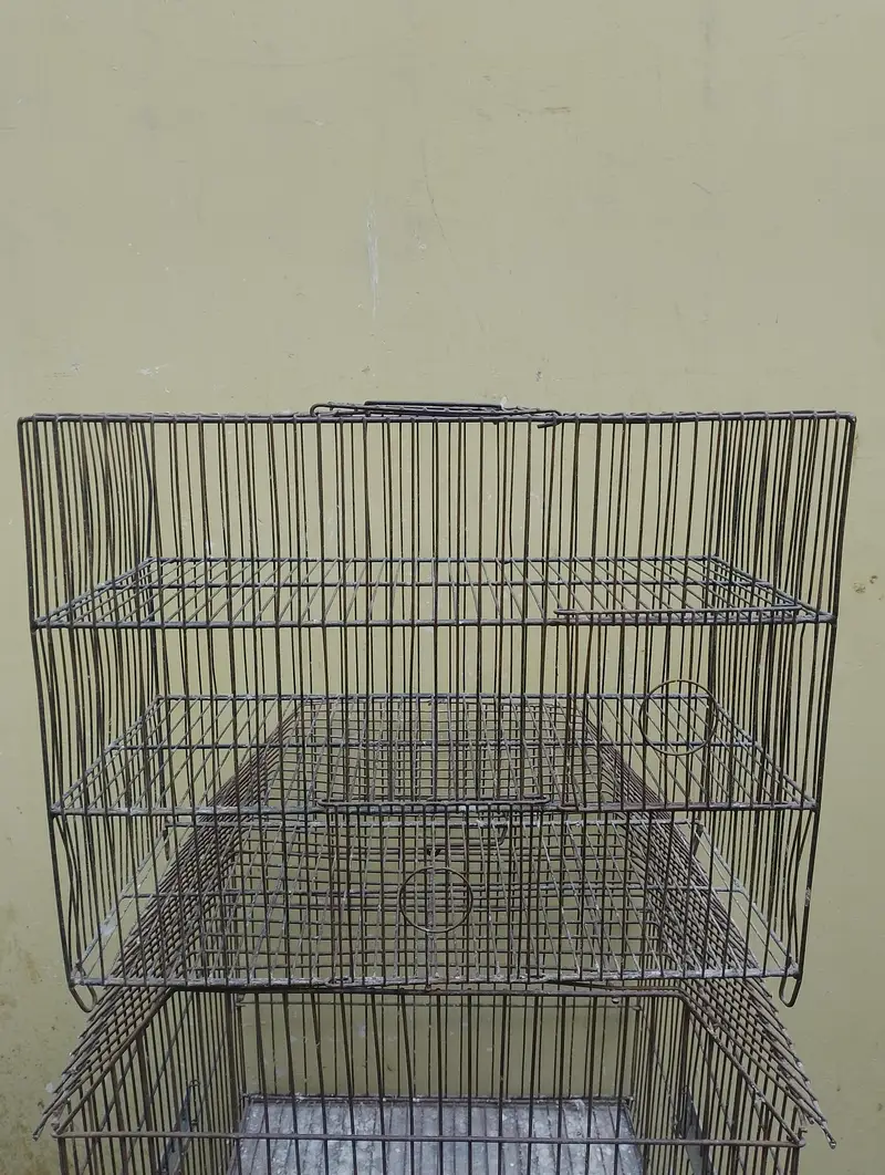 cages — photo 6