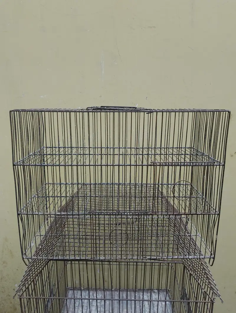 cages — photo 7