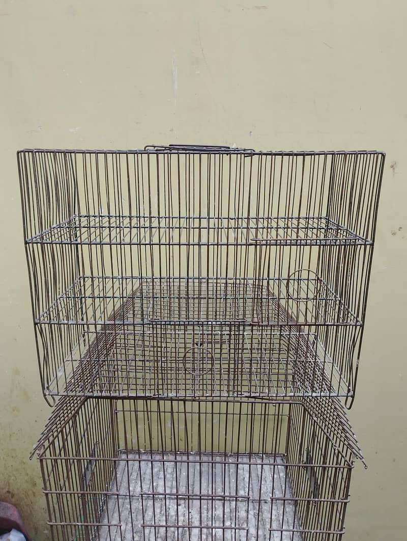 cages 7