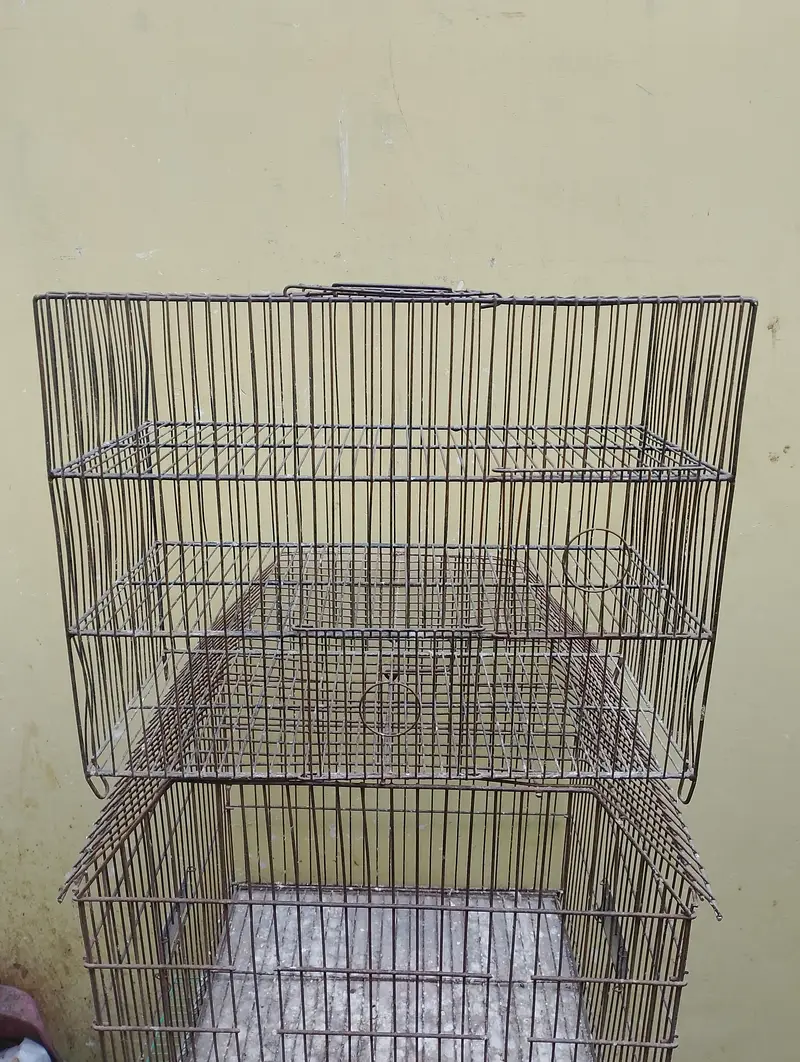 cages — photo 8