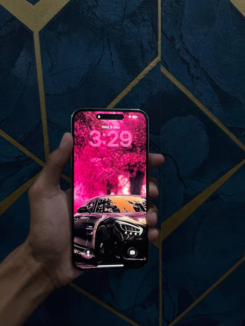 IPhone 14 Pro Max Bypass 1