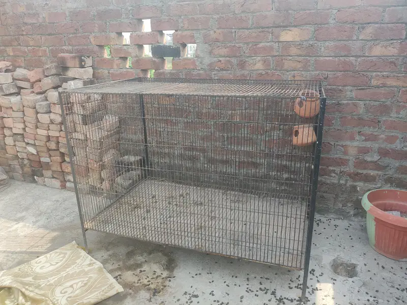 03221406653big and heavy caeg available for all pets — photo 3