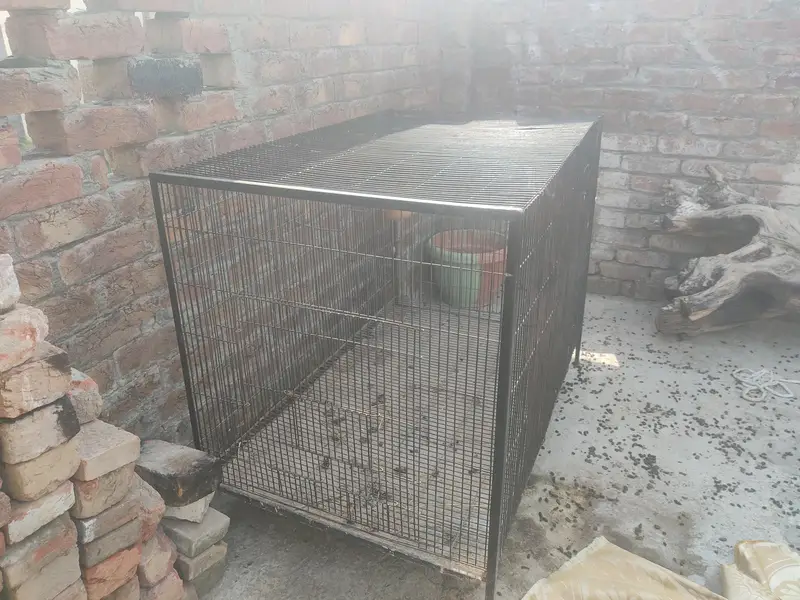 03221406653big and heavy caeg available for all pets — photo 6