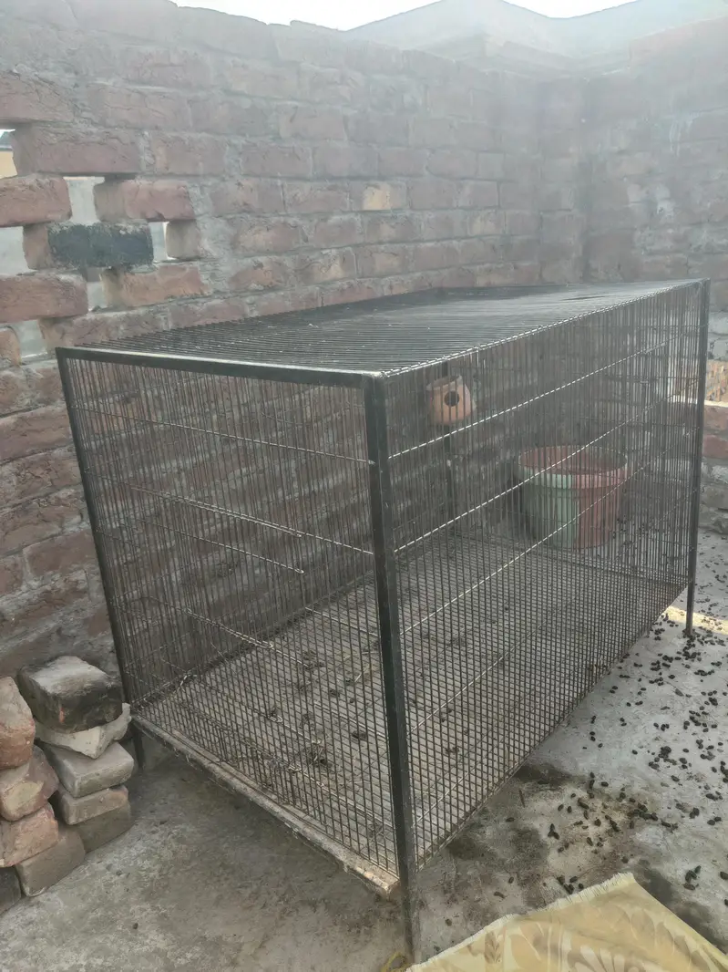 03221406653big and heavy caeg available for all pets — photo 11