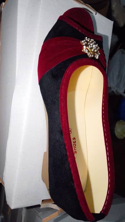 Coat shoes at reasonable price