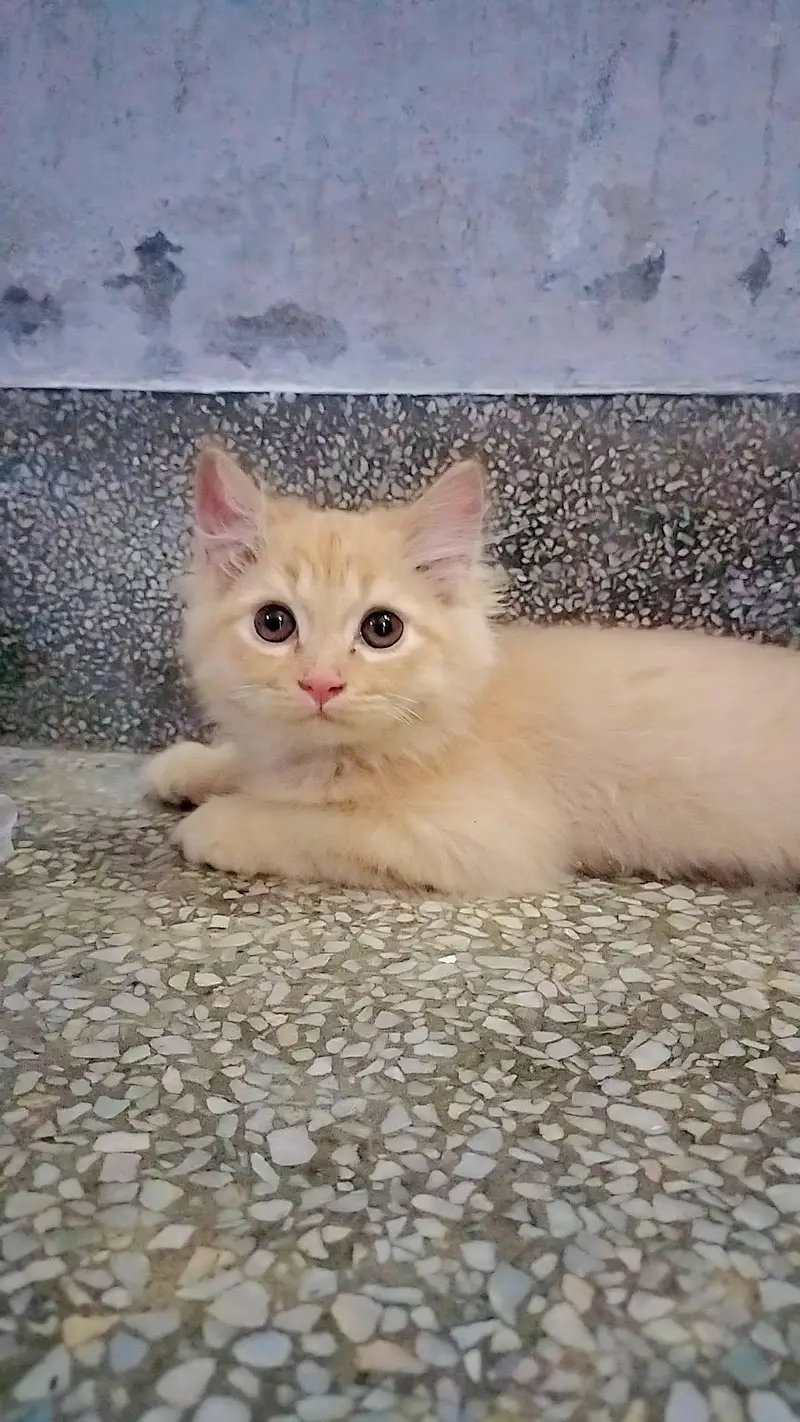 vaccination complete — photo 4