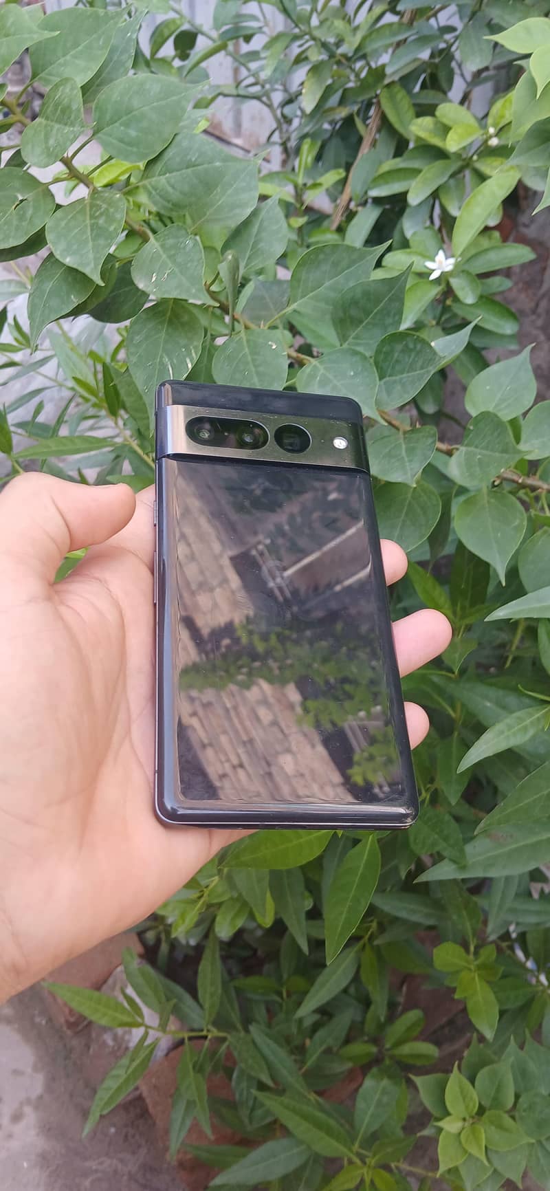 Google Pixel 7 Pro 0