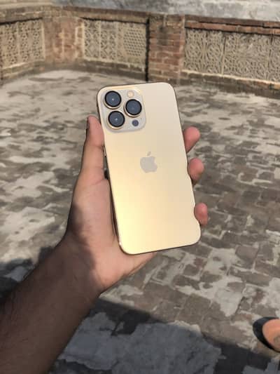 iPhone 13 Pro fU  (exchange possible)