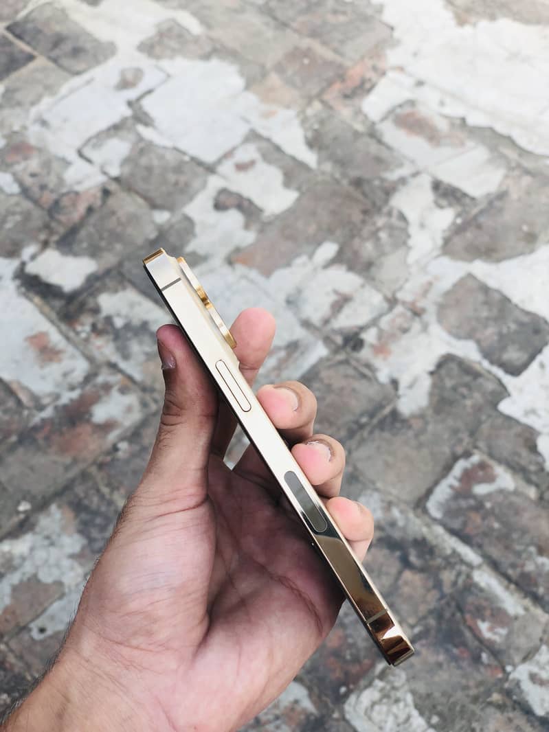 iPhone 13 Pro fU  (exchange possible) 1