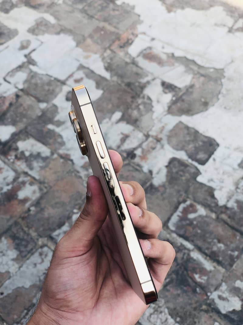 iPhone 13 Pro fU  (exchange possible) 2