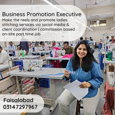 Business Promotion Executive