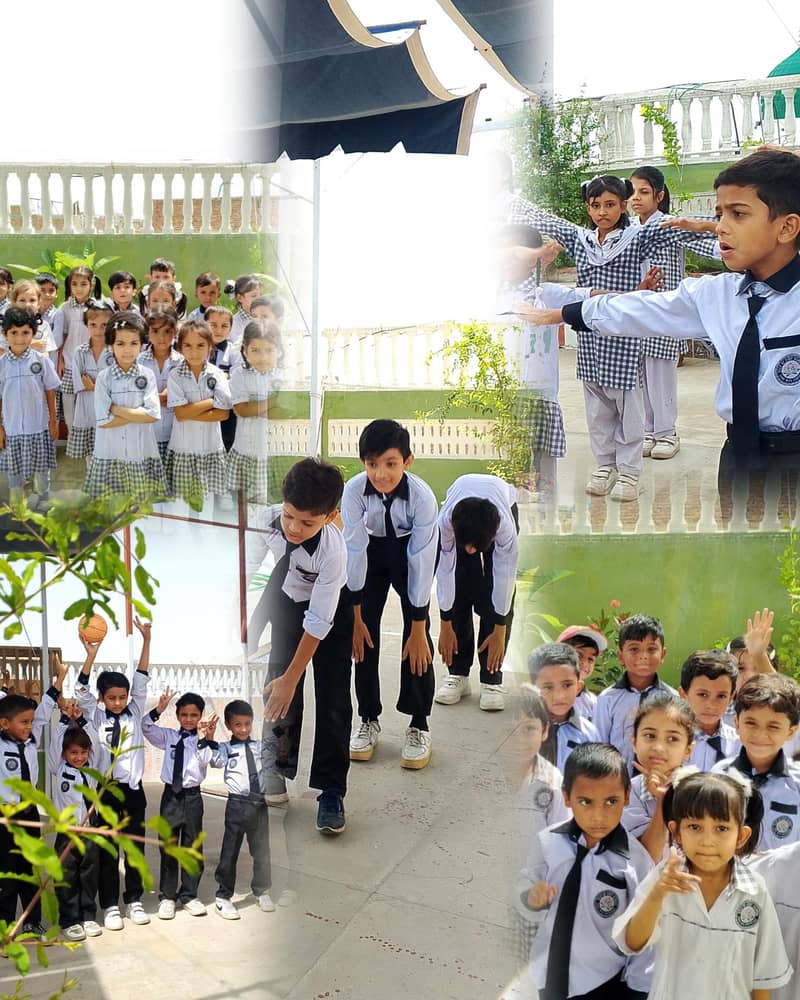 Step By Step School 12