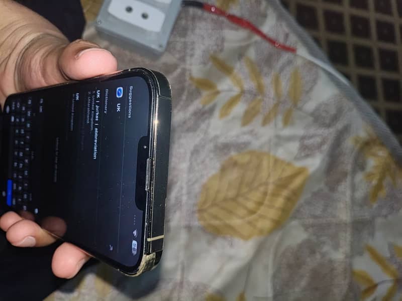Apple iPhone 13 Pro Max 1