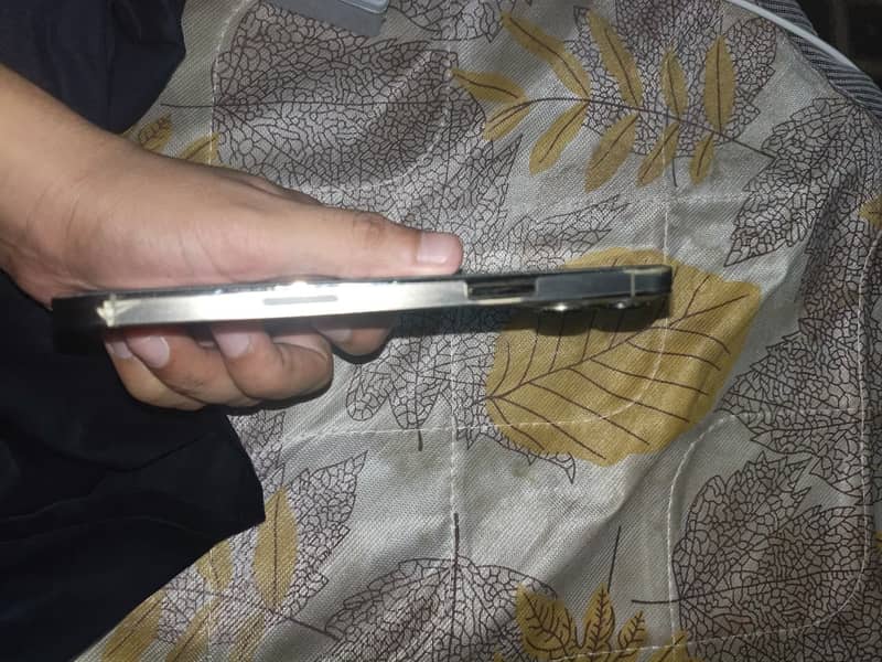Apple iPhone 13 Pro Max 2