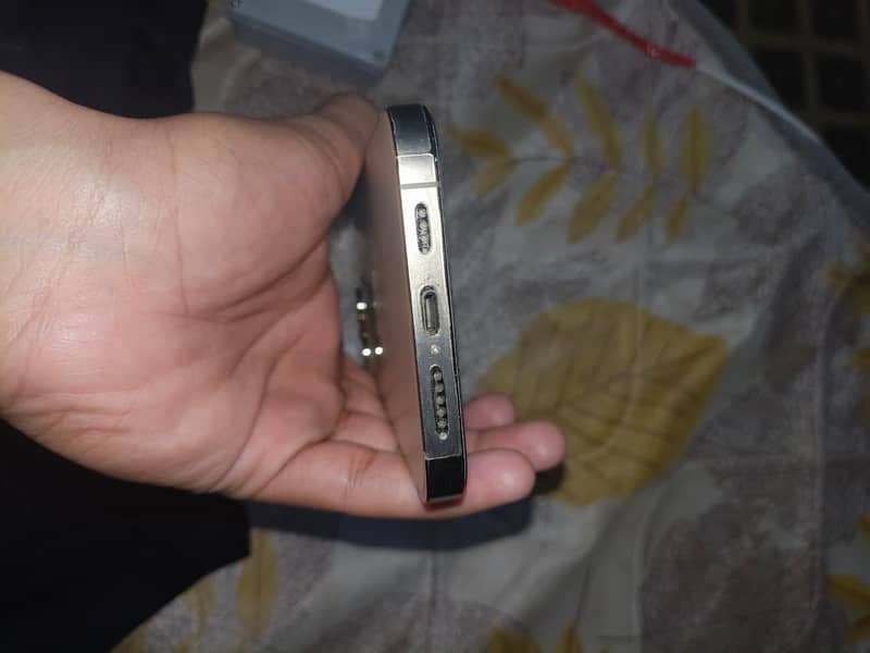 Apple iPhone 13 Pro Max 4