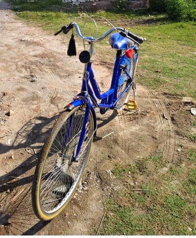 Japanese cycle and best speed