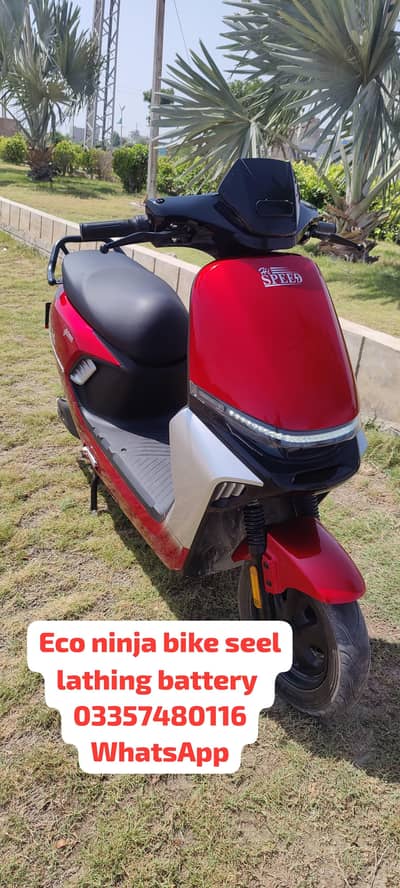 Electric Ninja ago high speed Bike