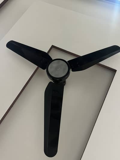 Fans 5