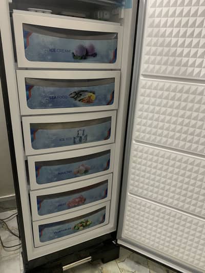 Almost New Vertical Freezer