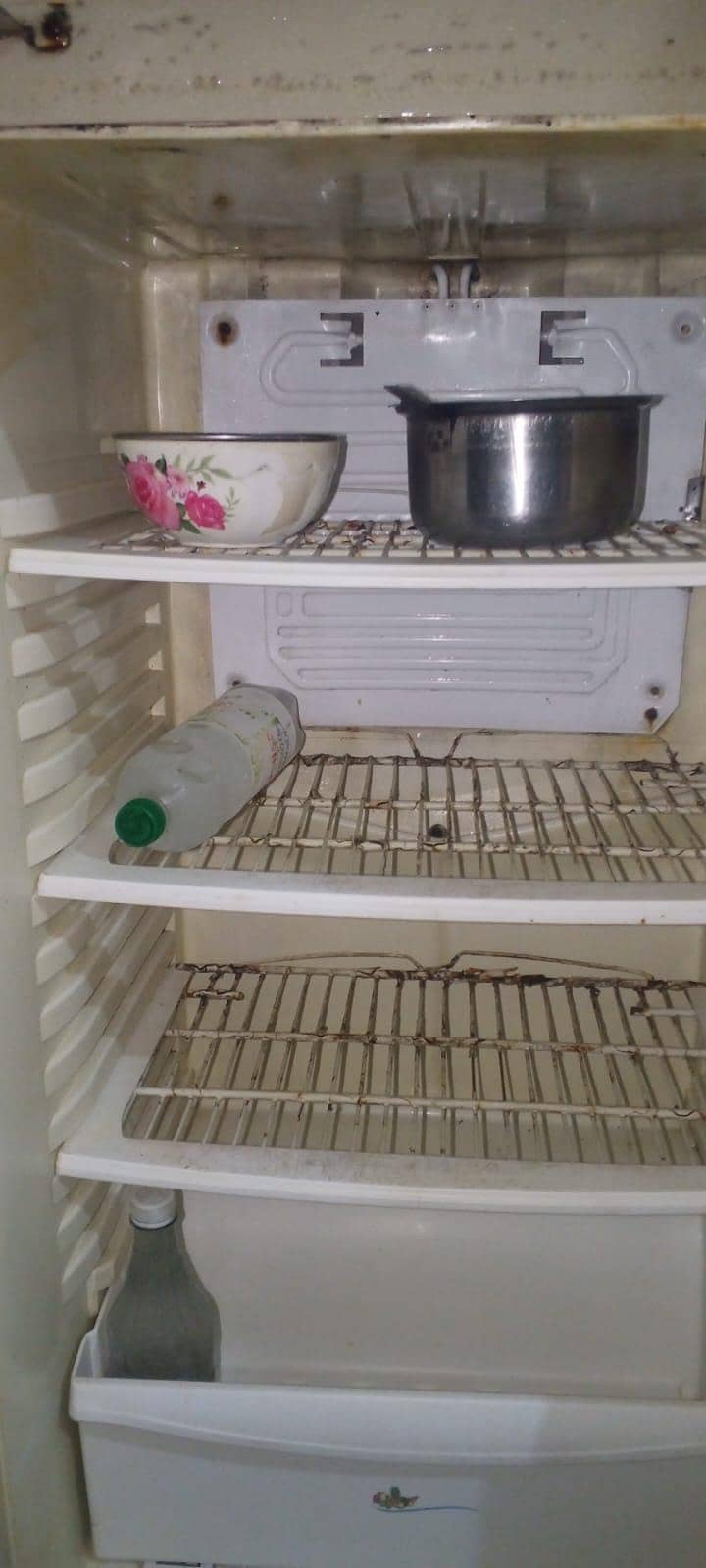 pel used refrigerator 11