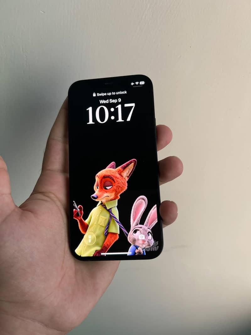 IPhone 12 1