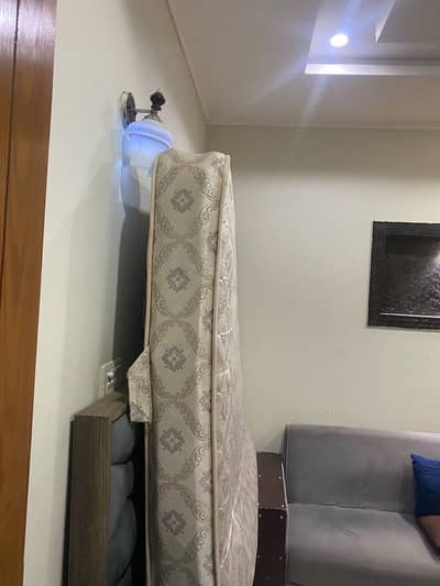 Designer Bed 10/8