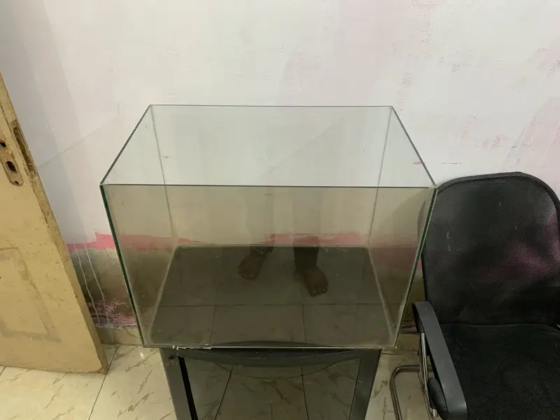 Aquarium — photo 4