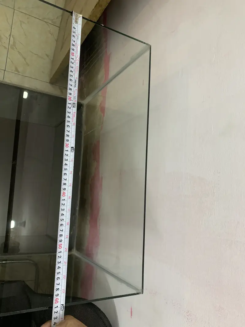 Aquarium — photo 11
