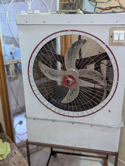 coller 12 watt